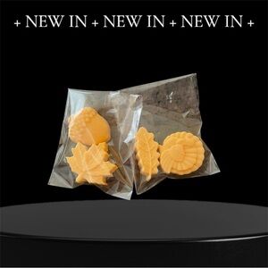 Handmade Goat Milk Soap Autumn Designs 2 packages, 4 soaps